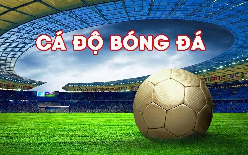 ca cuoc the thao nha cai bay789 6812db6ae734b