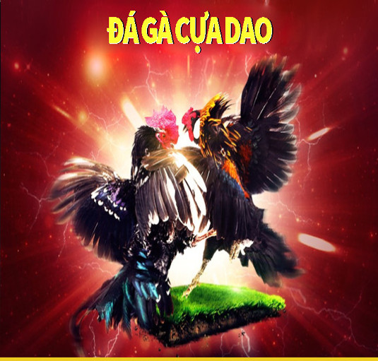 da ga cua dao 68134d483e749
