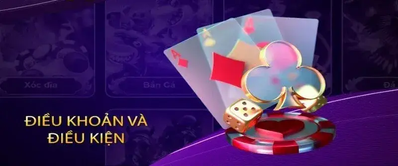 Khám Phá Chi Tiết Điều Khoản Điều Kiện Nhà Cái Bay789