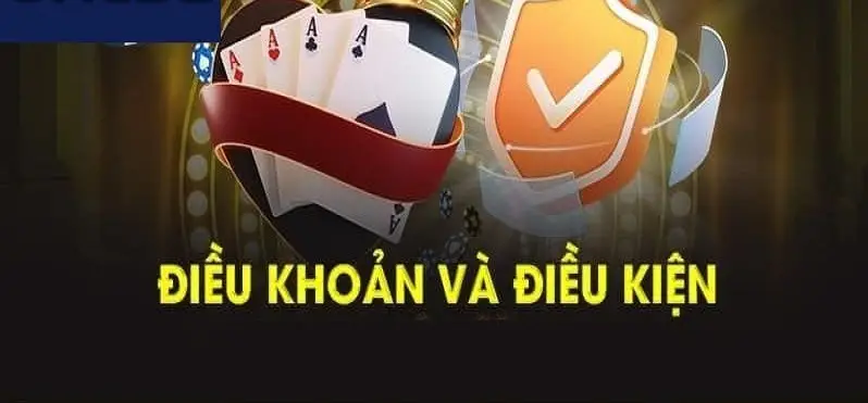 Khám Phá Chi Tiết Điều Khoản Điều Kiện Nhà Cái Bay789